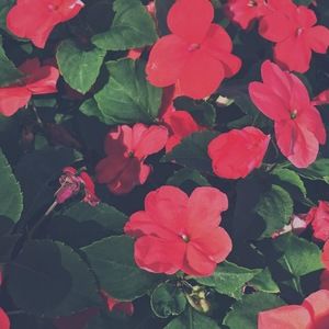 Meet your Posher, Kaliyah